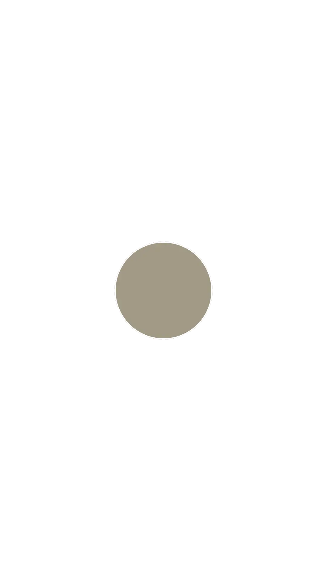 Nepaxal 31 Leichtbronze